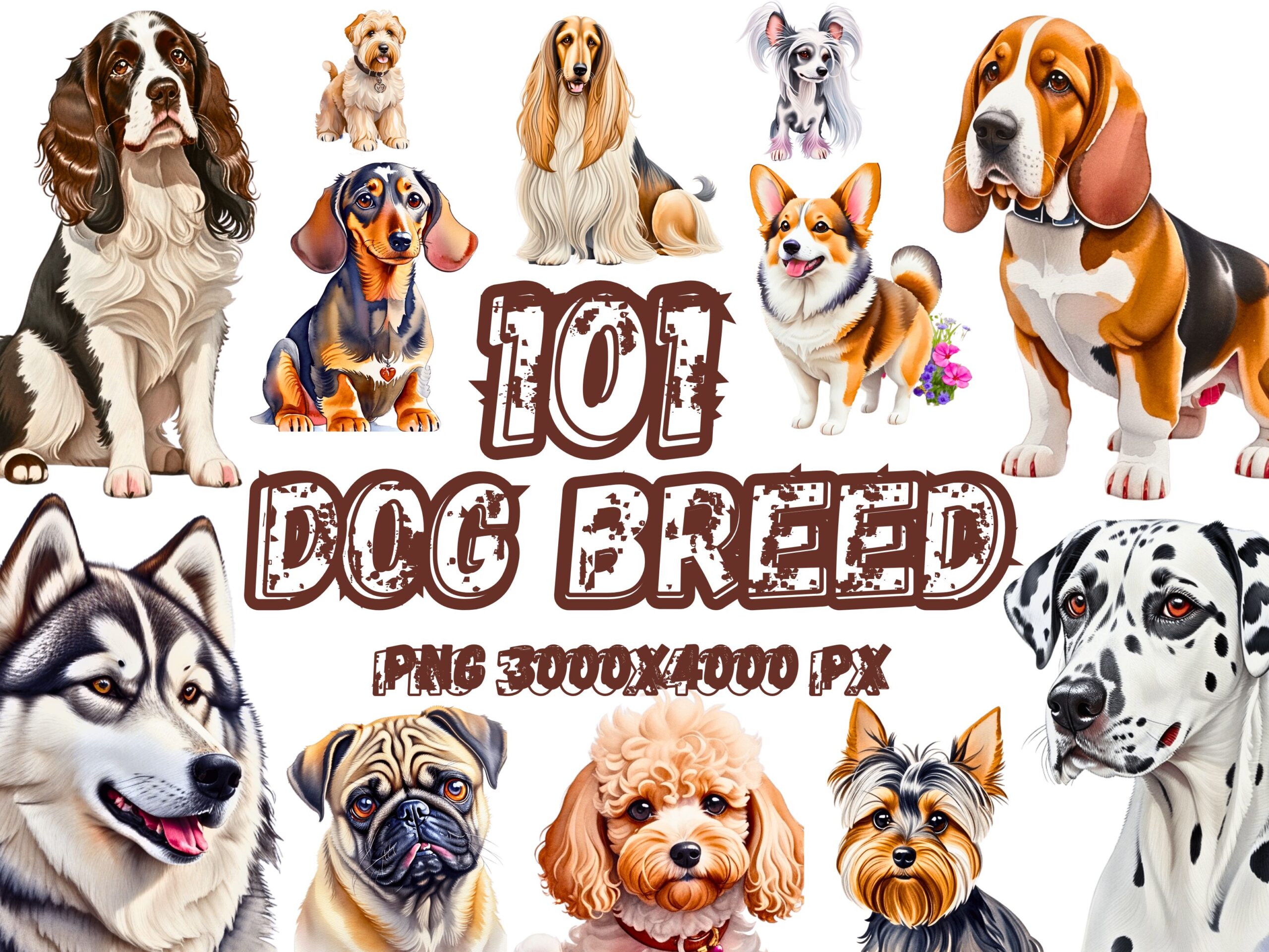 100 Dog Sublimation Clipart Bundle PNG preview for craft projects