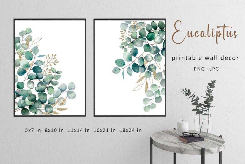 Eucalyptus Botanical